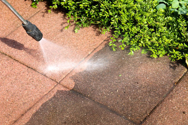 Local Pressure Washing Services in East Williston, NY